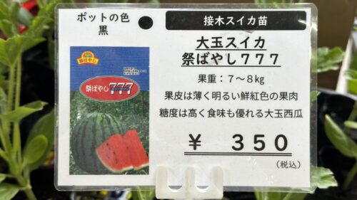 スイカ 祭ばやし777